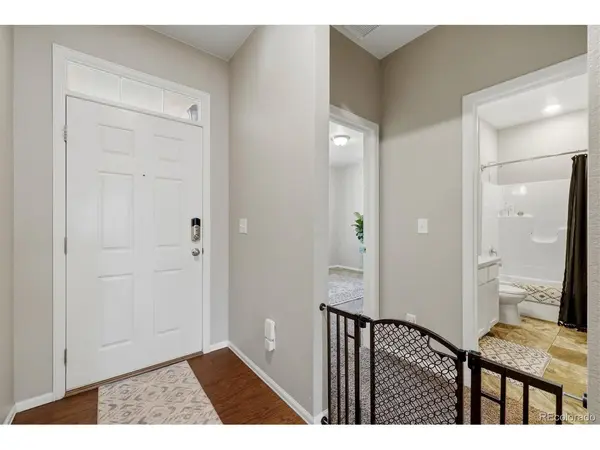 326 Jay, Windsor, CO 80550