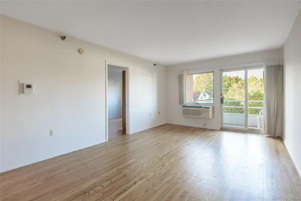 205 Mineola BLVD #3G, Mineola, NY 11501