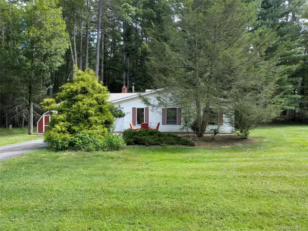 617 Katrina Falls RD, Rock Hill, NY 12775