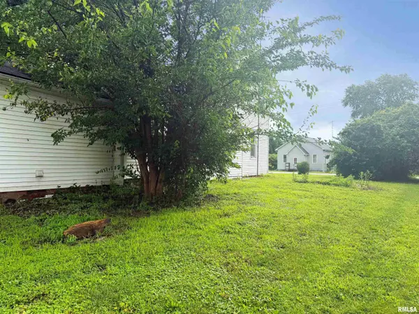 107 E MARKET ST, Table Grove, IL 61482