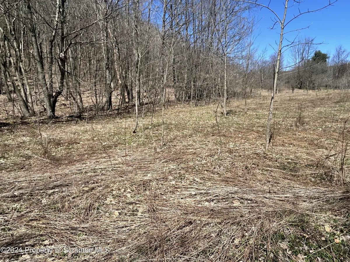 Moosic Lake RD, Mt. Cobb, PA 18436