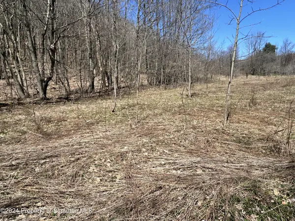 Moosic Lake RD,  Mt. Cobb,  PA 18436
