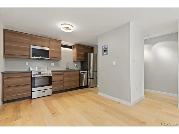 1008 N Corona #303, Denver, CO 80218