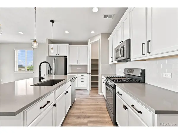 455 Blue Teal, Castle Rock, CO 80104