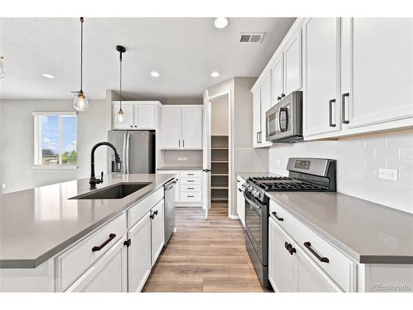 455 Blue Teal, Castle Rock, CO 80104