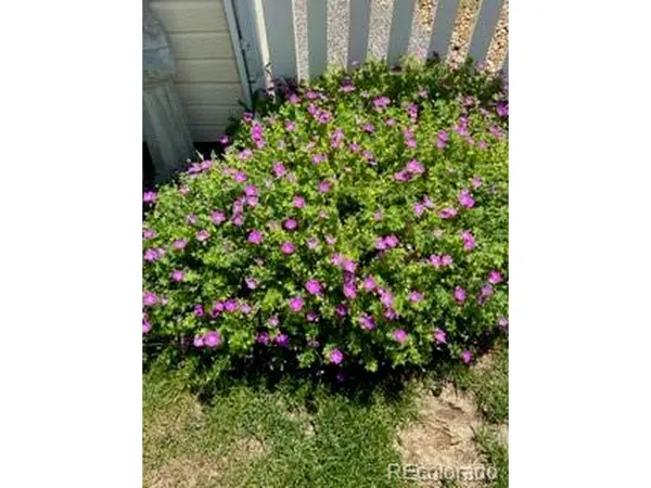 6405 Hollyhock #62, Frederick, CO 80530