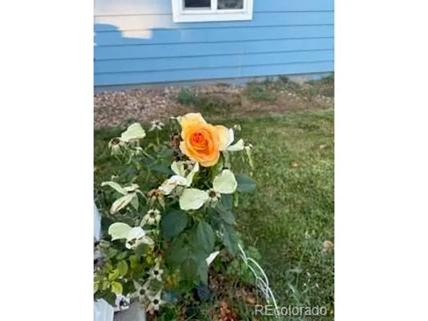 6405 Hollyhock #62, Frederick, CO 80530