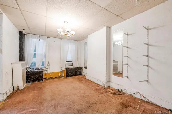 233 Sheridan AVE, Brooklyn, NY 11208