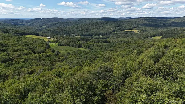 Hammer RD, Fremont Center, NY 12736