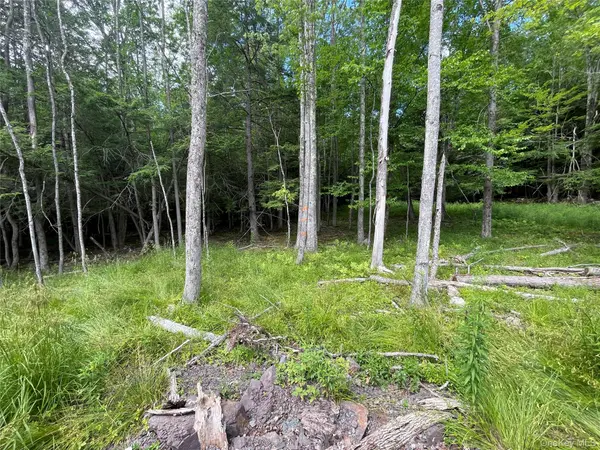 TBD Boulder Brook lot B14 RD, Windham, NY 12496