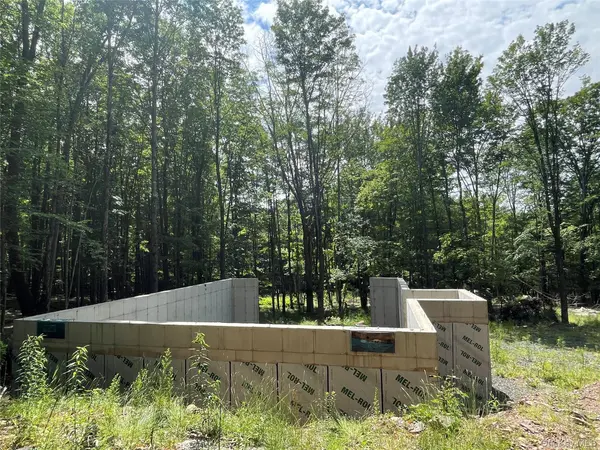 TBD Boulder Brook Lot 11 RD, Windham, NY 12496