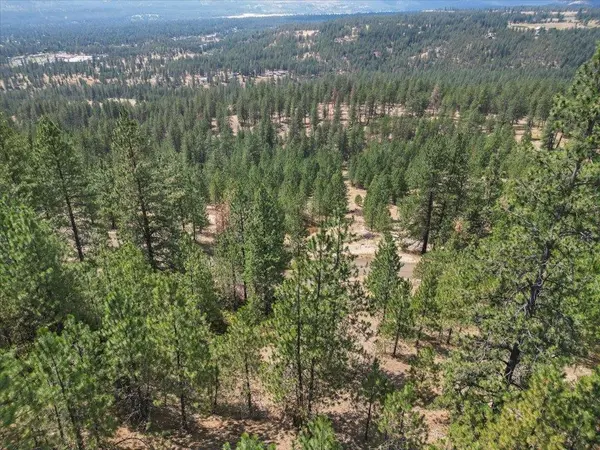 NKA Weaver WAY #Lot 2 of Lot 3, Deer Park, WA 99006