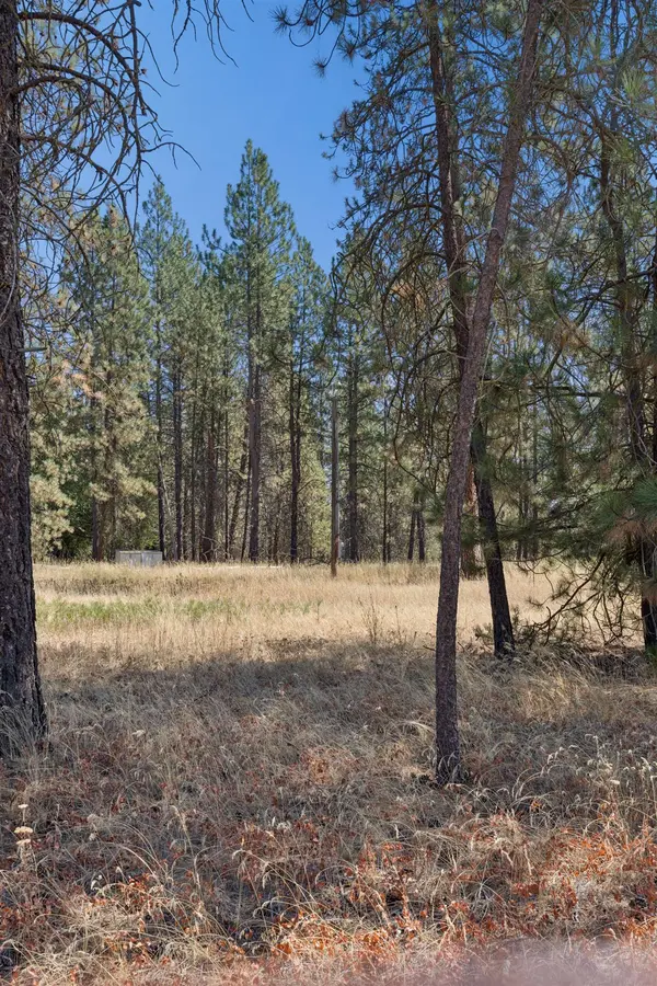 21324 N Myrtle Rd, Colbert, WA 99005