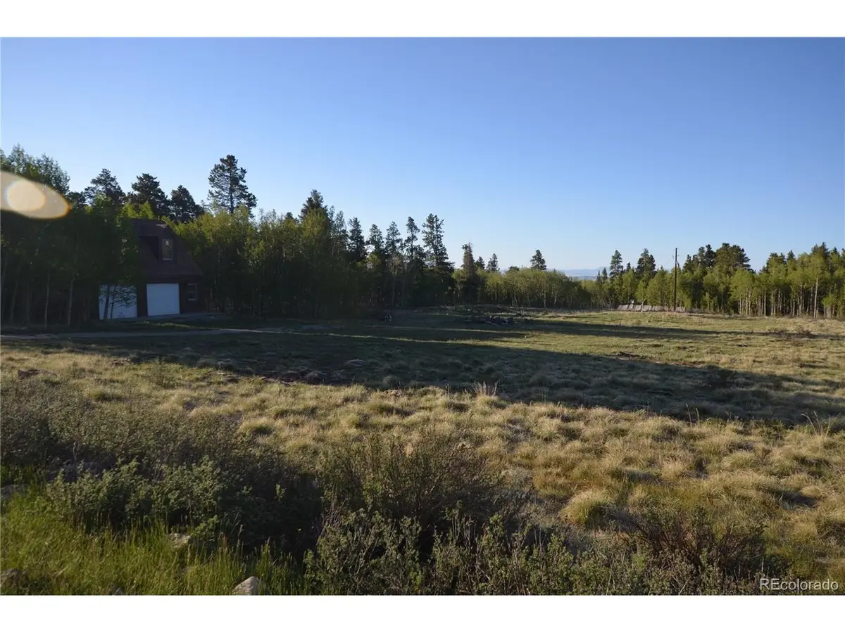 484 Wheat Way, Fairplay, CO 80440