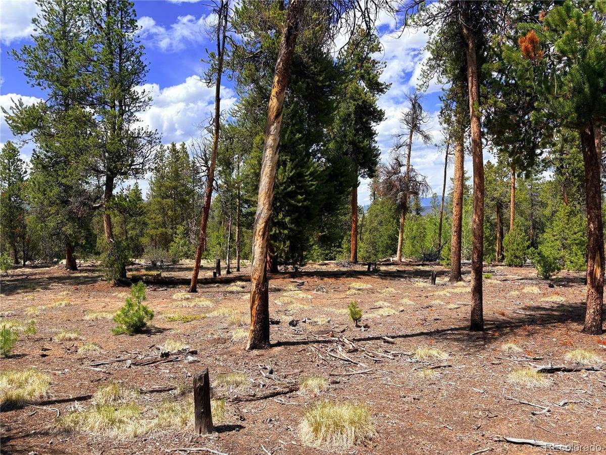 360 Lodgepole, Leadville, CO 80461