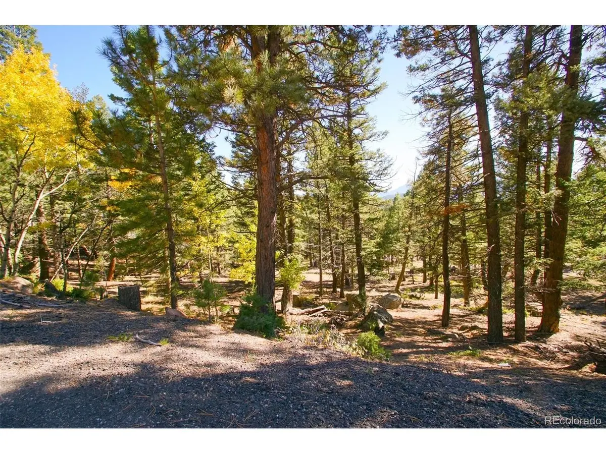 30402 Kings, Conifer, CO 80433