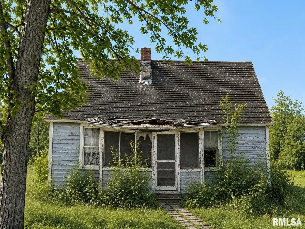 816 S COLEMAN ST, Havana, IL 62644