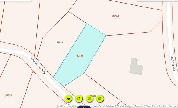 64 War Bonnet RDG, Kingsland, TX 78639
