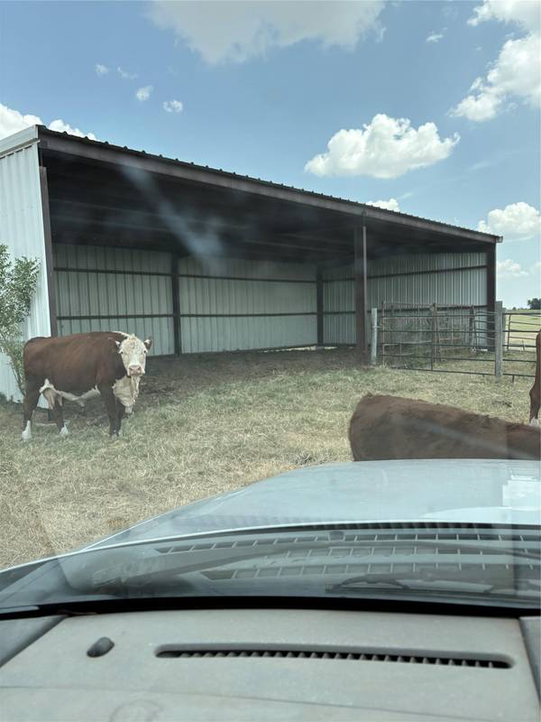 600 County Road 444 LAND, Thorndale, TX 76577