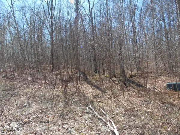 145 Summit Woods RD, Roaring Brook Twp, PA 18444