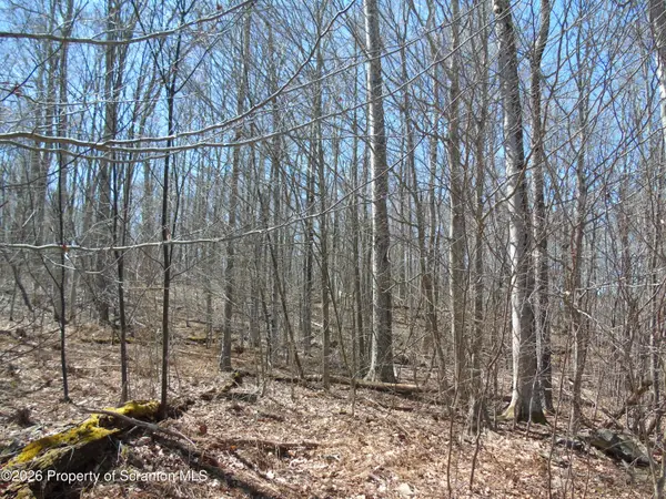 145 Summit Woods RD, Roaring Brook Twp, PA 18444