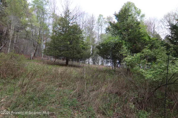 300 Pennsworth Hill RD, Meshoppen, PA 18630