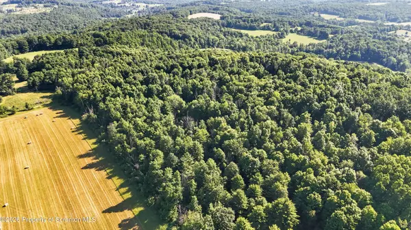 Limoli RD, Wyalusing, PA 18853