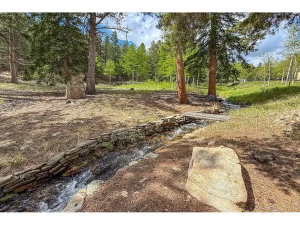 412 Highway 7 Business, Allenspark, CO 80510