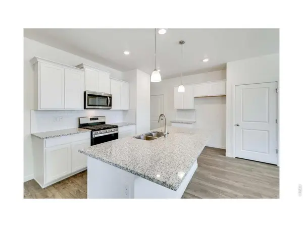 1002 Annelles Pool, Severance, CO 80550