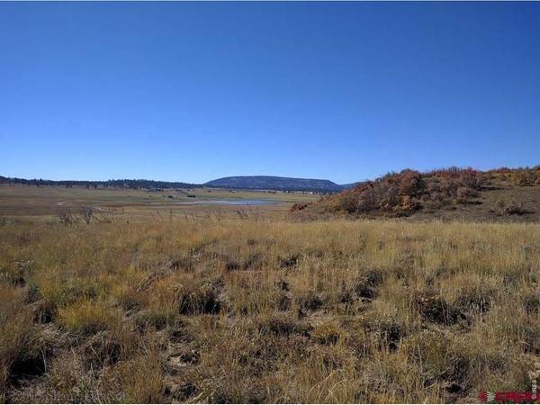 919 Roush, Pagosa Springs, CO 81147