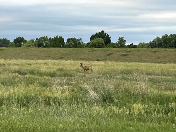 3625 N County Road19, Fort Collins, CO 80524