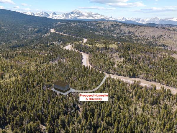 1199 Brainard Lake, Ward, CO 80481