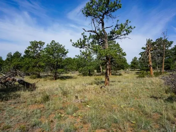 0 Stub, Livermore, CO 80536