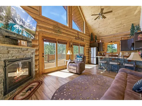 298 Mount Massive, Livermore, CO 80536