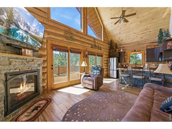 298 Mount Massive, Livermore, CO 80536