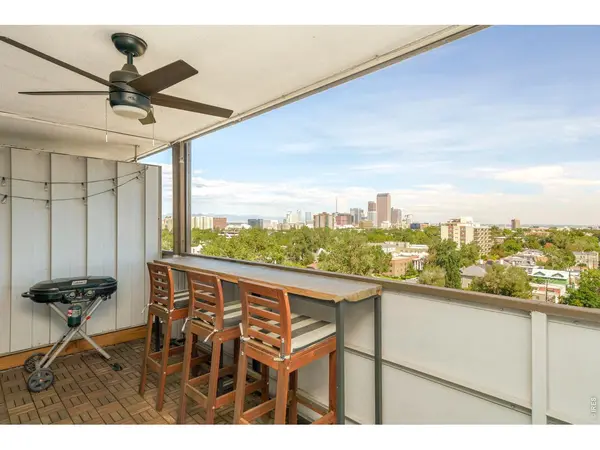 1029 E 8th #903, Denver, CO 80218