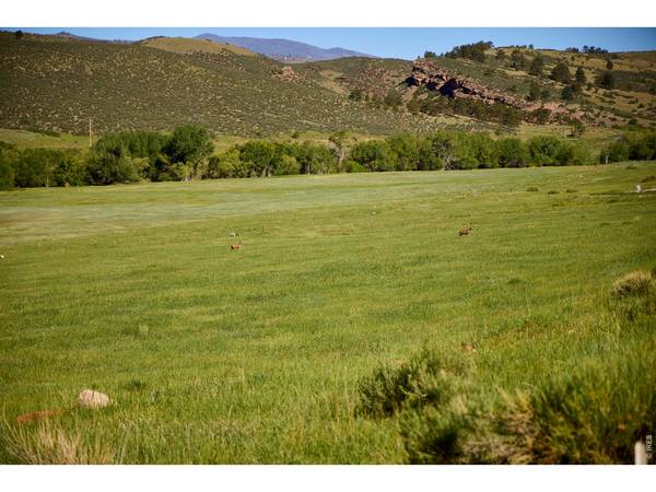 10339 Buckhorn Ridge, Loveland, CO 80538
