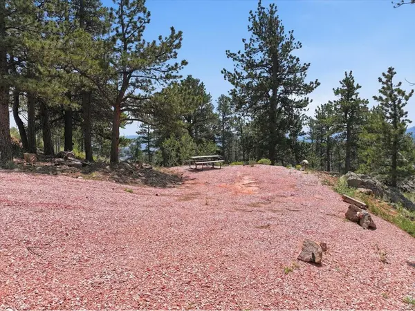 1091 Osage, Red Feather Lakes, CO 80545