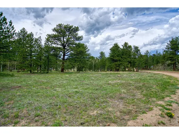 73 Sparn, Ward, CO 80481