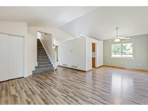 742 Lilac, Windsor, CO 80550