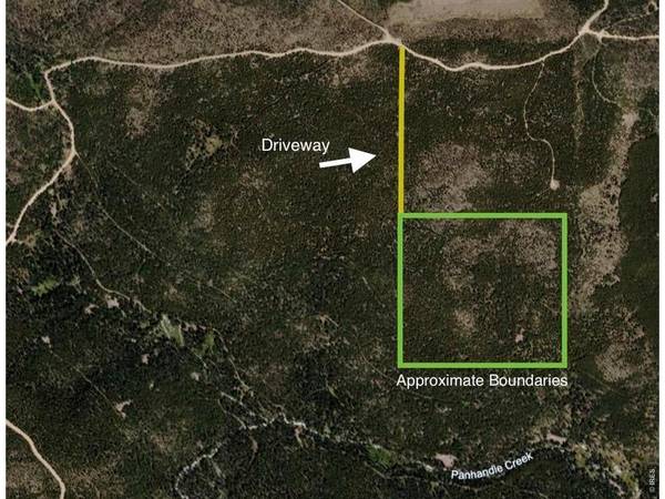 0 Forest Service 169 Lot #15, Red Feather Lakes, CO 80545
