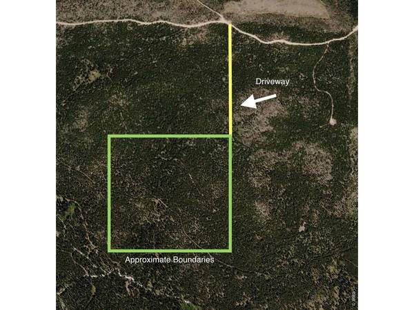 0 Forest Service 169 Lot #10, Red Feather Lakes, CO 80545