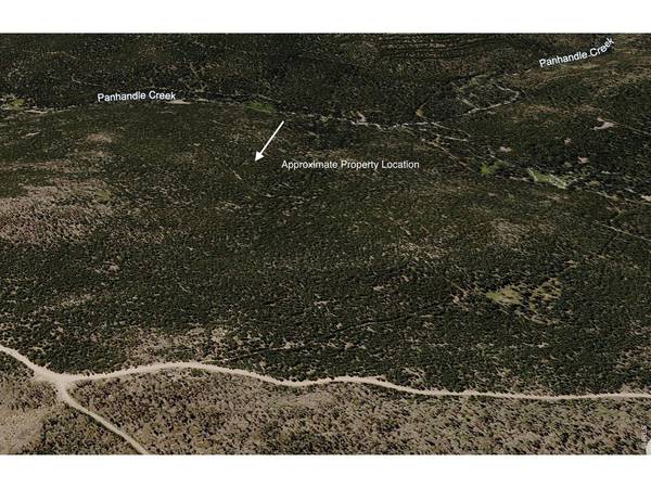 0 Forest Service 169 Lot #10, Red Feather Lakes, CO 80545