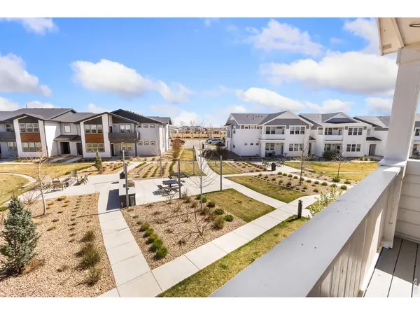 1805 Bounty #Unit 3, Windsor, CO 80550