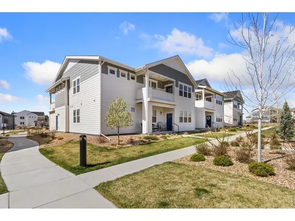 1805 Bounty #Unit 3, Windsor, CO 80550
