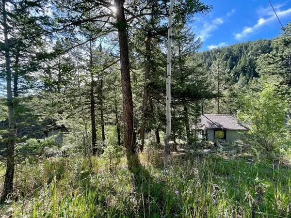 10763 Twin Spruce, Golden, CO 80403