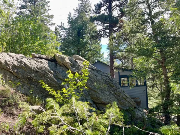 10763 Twin Spruce, Golden, CO 80403