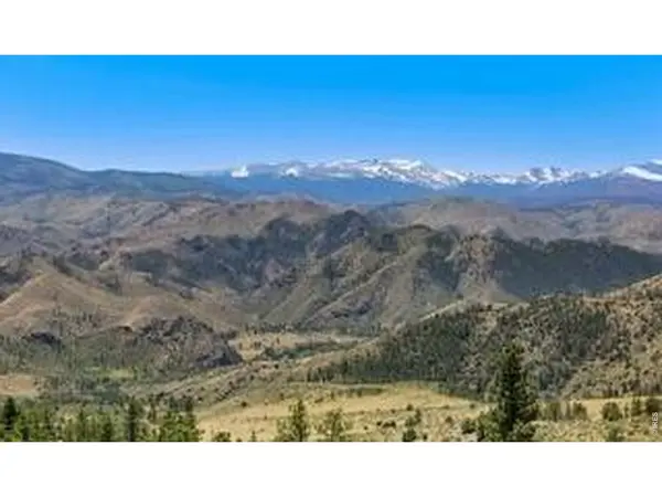 94 Culebra Peak, Livermore, CO 80536