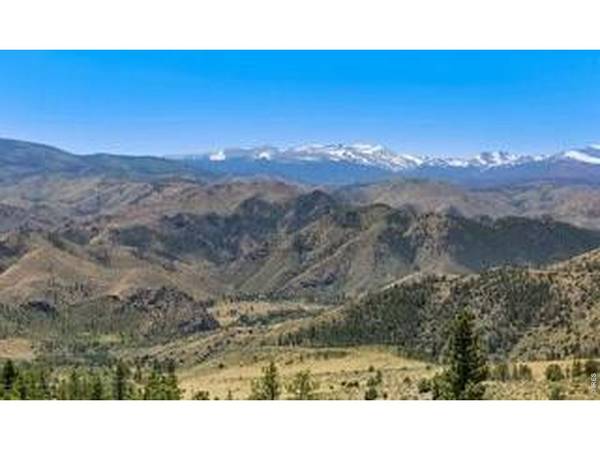 94 Culebra Peak, Livermore, CO 80536