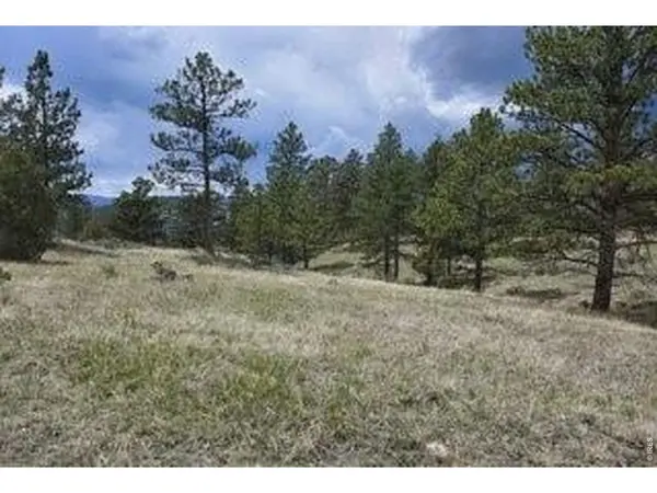 94 Culebra Peak, Livermore, CO 80536